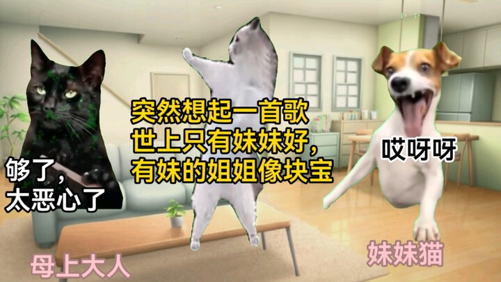 【猫meme】妹妹的童年在姐姐的千层套路中度过