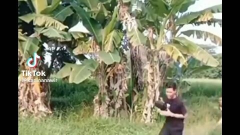 #Funny Videos #Please Follow and Like for more. 🫶🫰