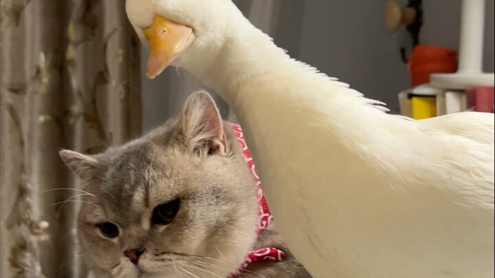 So Delicious: Don't Listen to the Clock Running Backward—Big Bro’s Warmth Will Keep You Cozy This Wi