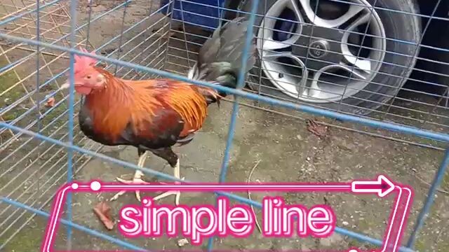 jrpgameyar(simpleline)