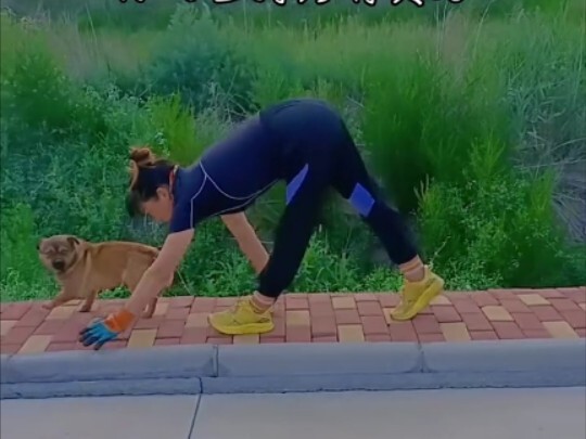 Fitness TV: Crocodile Crawl