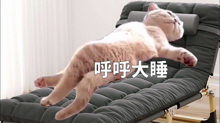 What’s it like working at my bestie’s company?