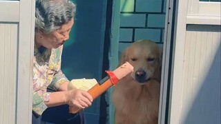 《Ăn một cái là im thin thít》