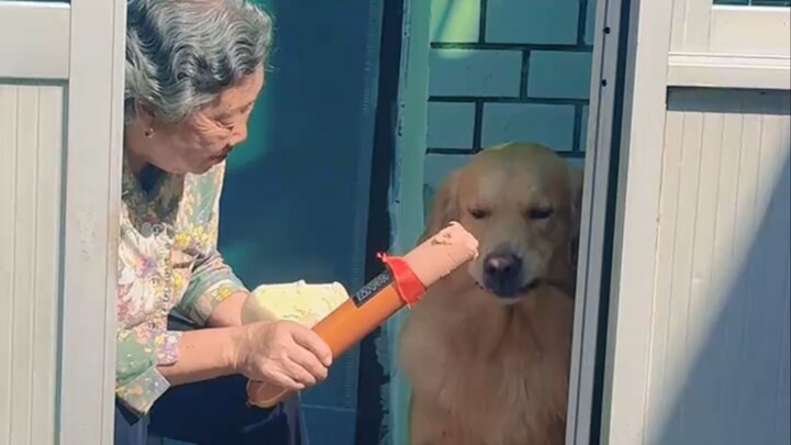 "Silent After One Bite"