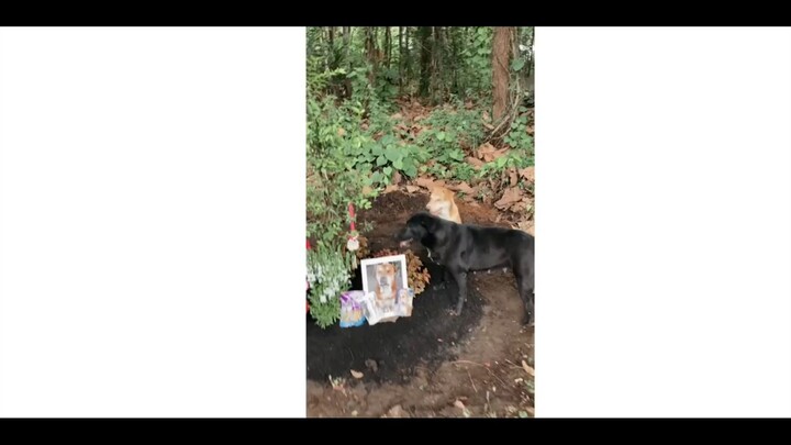 เรามาส่งนายแล้วนะเพื่อน