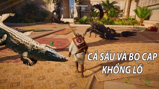 Tìm thấy CẢ MỘT THÀNH PHỐ trong LĂNG MỘ PHARAOH | Assassin's Creed Origins | GNDTT