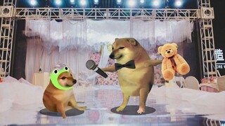 أتمنى للعريس والعروس التعلم الجيد والتطور المستمر يومًا بعد يوم