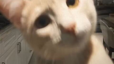 😺😁
