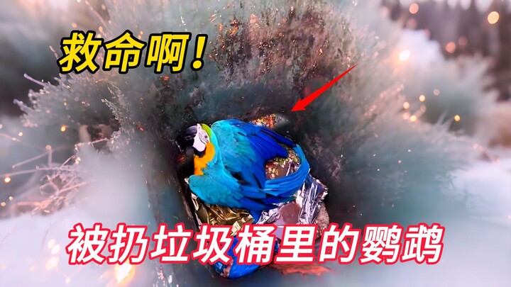 The young man found an injured parrot in a trash can and took it home to care for it.