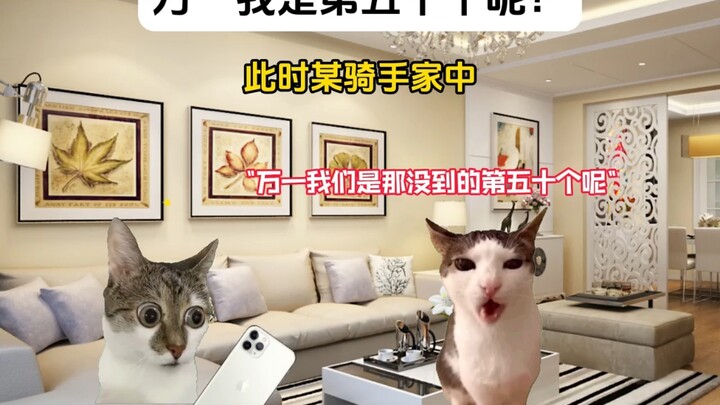 [Cat Meme] What if I’m the 50th?