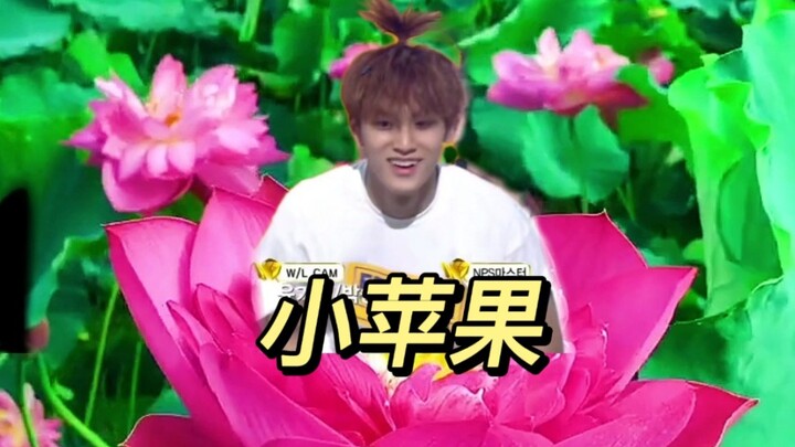 【Ciren KTV】Versi Ciren dari "Xiao Pingguo" kini resmi dirilis