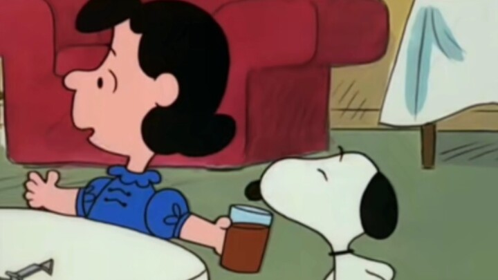 Bao smells soda, Bao infects the dog with bacteria