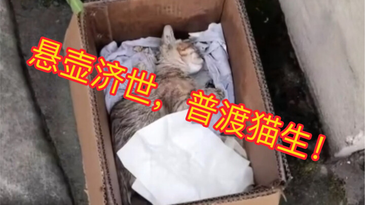 This must be the best admissions brochure, right?