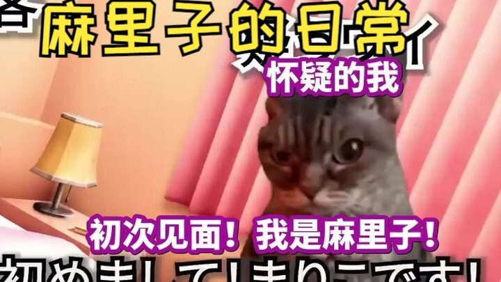 [Hot Clip] The fate of a kuso guest secretly filming Mariko playing Apex | Cat meme