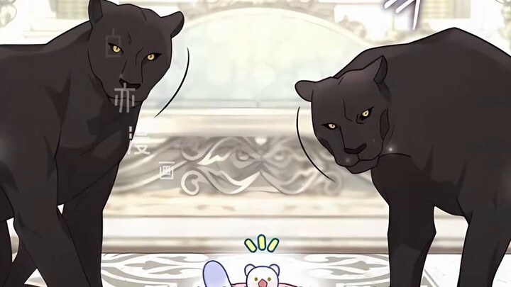 The day when the little snow leopard and the crown prince transformed into beasts, so cute! [Extra C