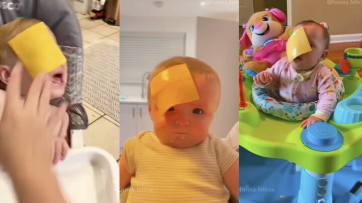 [TikTok] Foreigner Discovers a New Way to Stop Babies Crying: the “Cheese Seal Spell” — Pure High-En