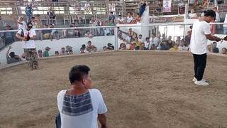 last fight