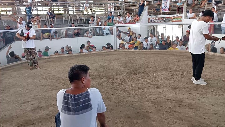 last fight