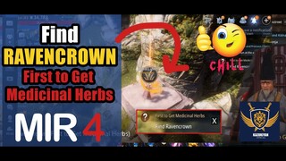 Find Ravencrown "First to Get Medicinal Herbs" Guide | MIR4 Request Walkthrough #MIR4 Taoist Class