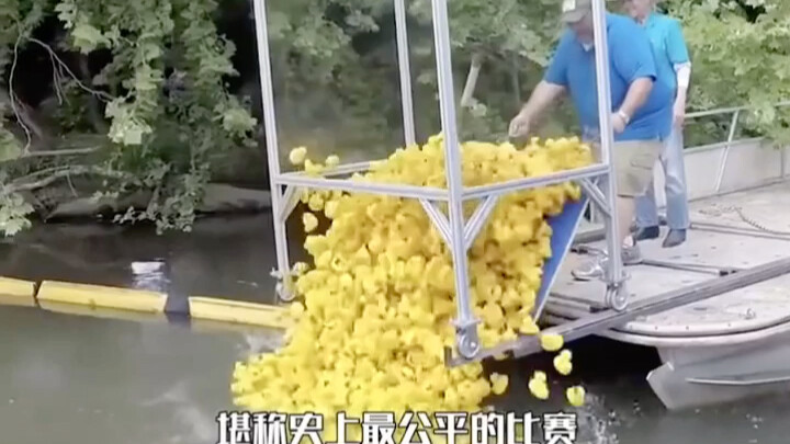 The Most Fair Competition