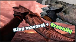 vlog #467 #Spearfishing#Philippines catch and cook and sell