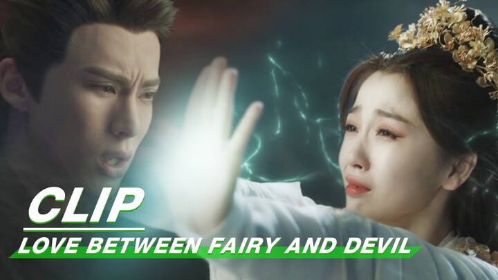 Qing Cang asks Xiyun to kill him | Love Between Fairy and Devil EP36 | 苍兰诀 | iQIYI