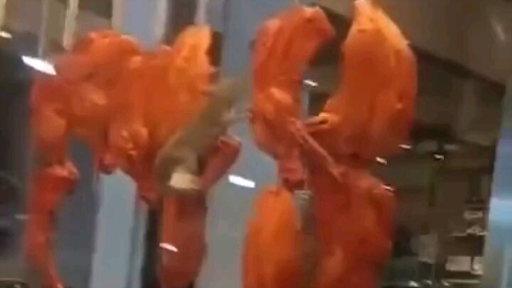 แล้วถ้าคนที่โดนกินคือคุณล่ะ?