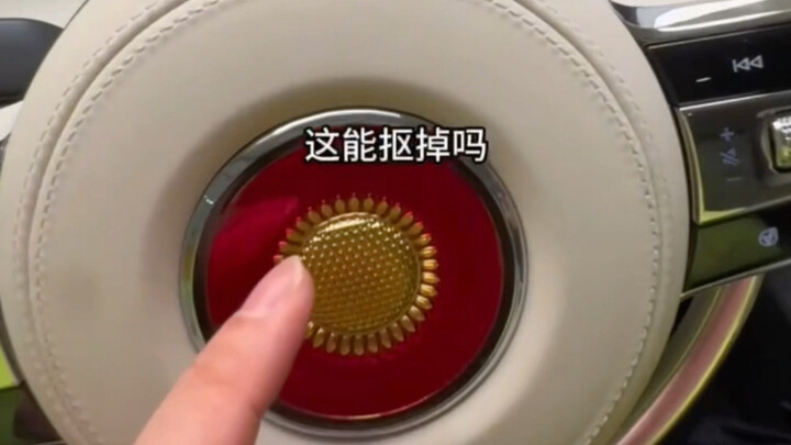 What car can you buy with 4 million in the Hongqi lineup… #HongqiStateLimousine