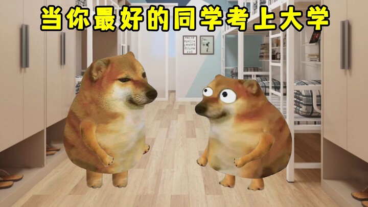 Ketika teman sekelas terbaikmu diterima di universitas yang bagus