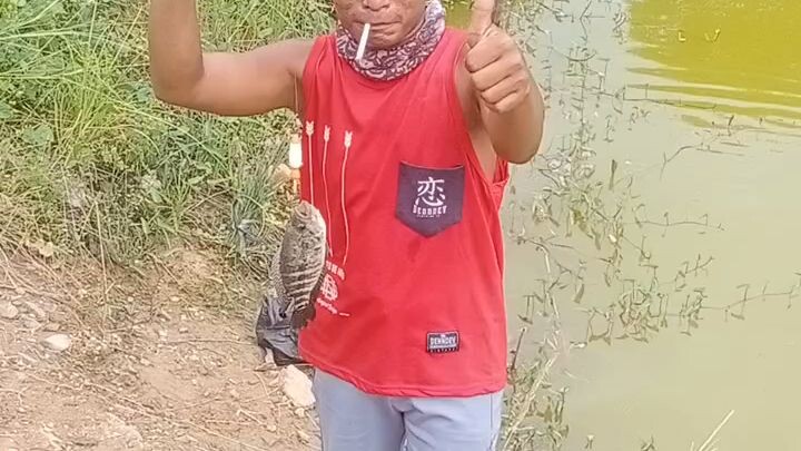 mancil poll