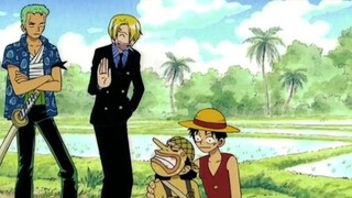 One Piece: If the Straw Hats are destroyed one day, there is a high probability that one of our own 