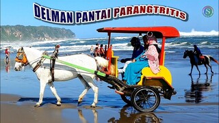 NAIK DELMAN ISTIMEWA ~ Wisata KUDA Pantai PARANGTRITIS | NAIK KUDA DELMAN