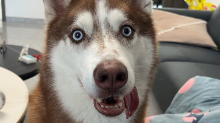 There’s a spark in its eyes!