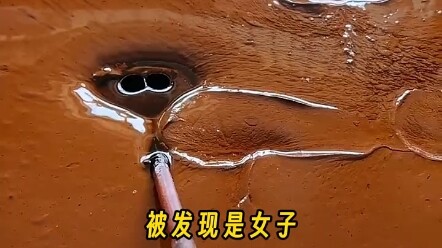 【Princess, Please Listen to the Script】The latest video is now available—come check it out!