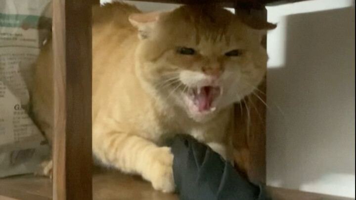 第三篇，将反抗进行到底