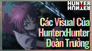 Các Visual Của HunterxHunter Đoàn Trưởng