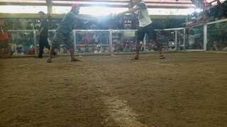 gray Win @agdangan 03-19-2025