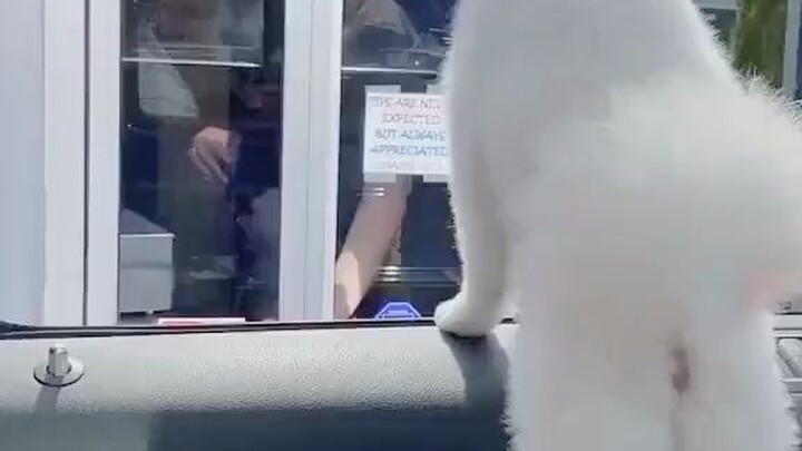 我爸付钱了麻烦您快一点儿