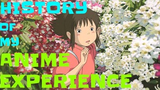 The History of My Anime Experience