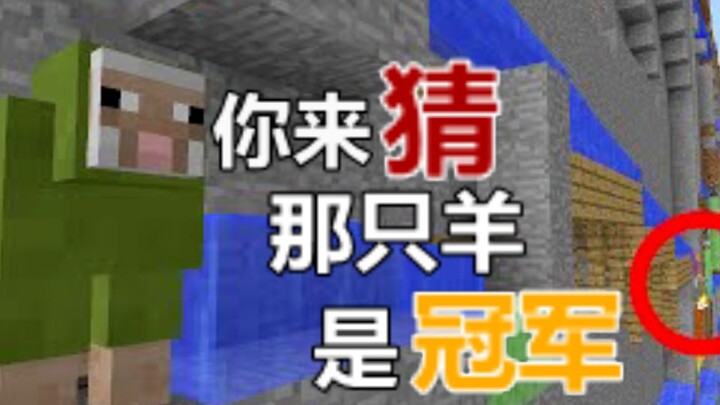 Lomba Olahraga Domba-Domba [Versi Minecraft]