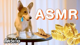 ASMR ขนมหมา | สัตว์เอ๋ย (คำเตือนห้ามดูตอนหิว!!)
