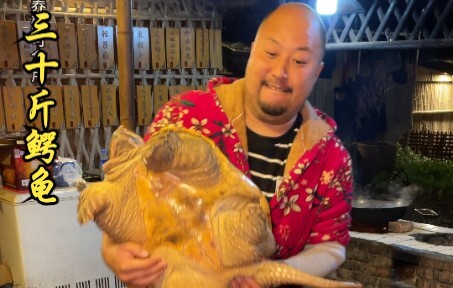 30斤大鳄龟，来人间一趟，总要吃遍南北西东。
