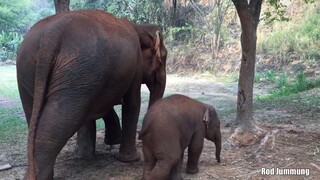 ทำไมน้องขุนพลน่ารักจังเลย