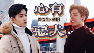 【肖战水仙｜生阳】《心有恶犬》 第一集 肖春生x盛阳  腹黑厨师总裁生x攻里攻气大明星阳  双强 甜宠 he