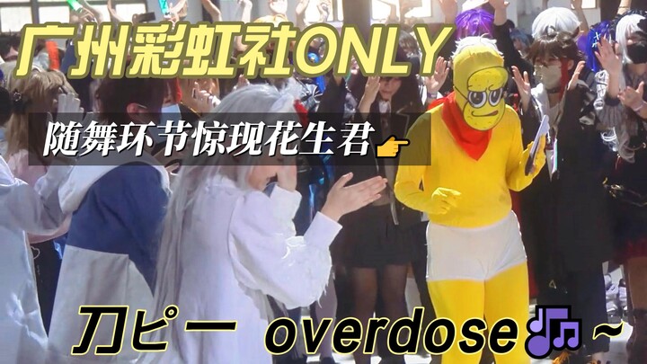 广州彩虹社ONLY -近距离拍摄花生君 刀ピー overdose【随舞现场】/广州荔湾信义会馆 11.26