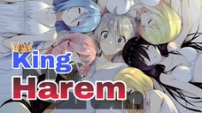 Rekomendasi 5 Anime Harem | Bocil Dilarang Nonton!!