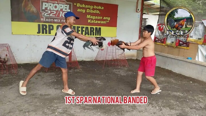 National Banded! AEJ GF line, MT Banahaw Line and JRP line!