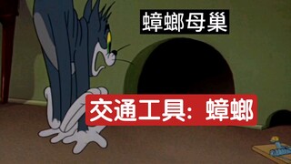 ⚡当东北人第一次来广东