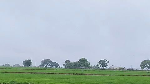 field