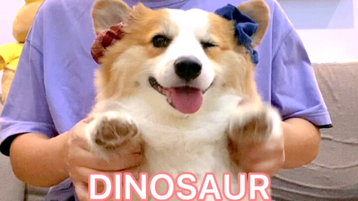 Boss Pi's Hot Dance | DINOSAUR
